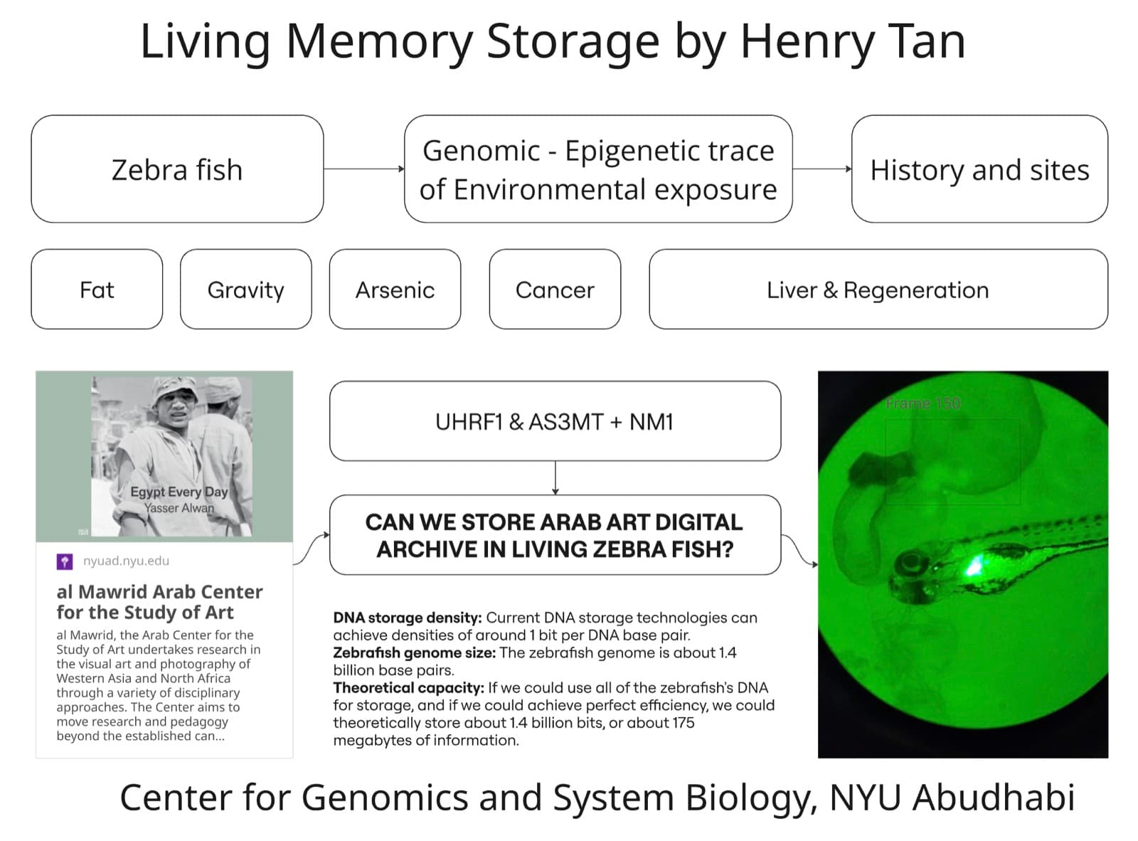 Diagram of the Living Archive starting idea