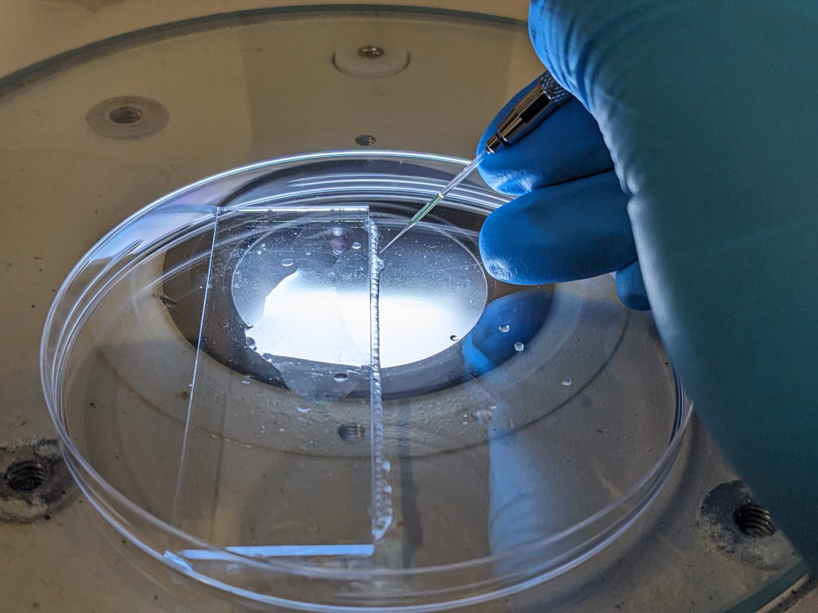 Microinjection under the microscope