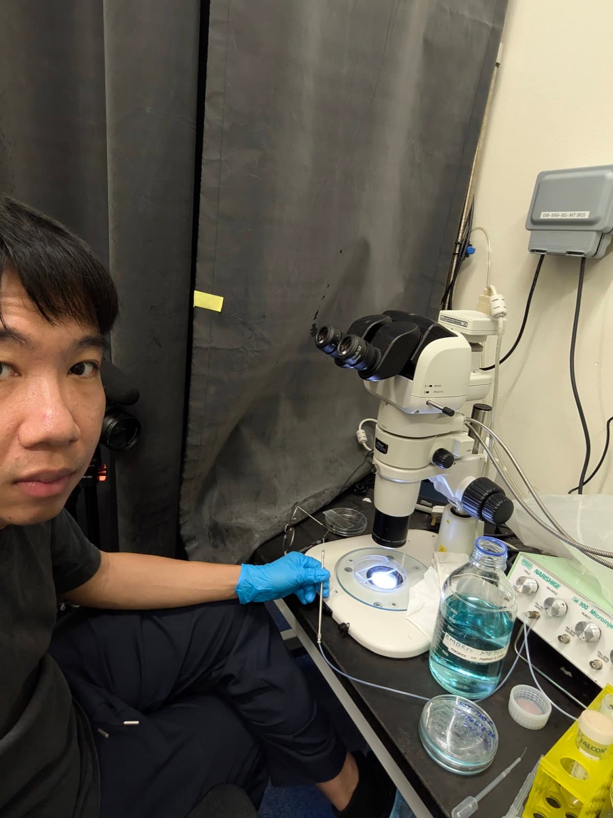 Archive plasmid injection